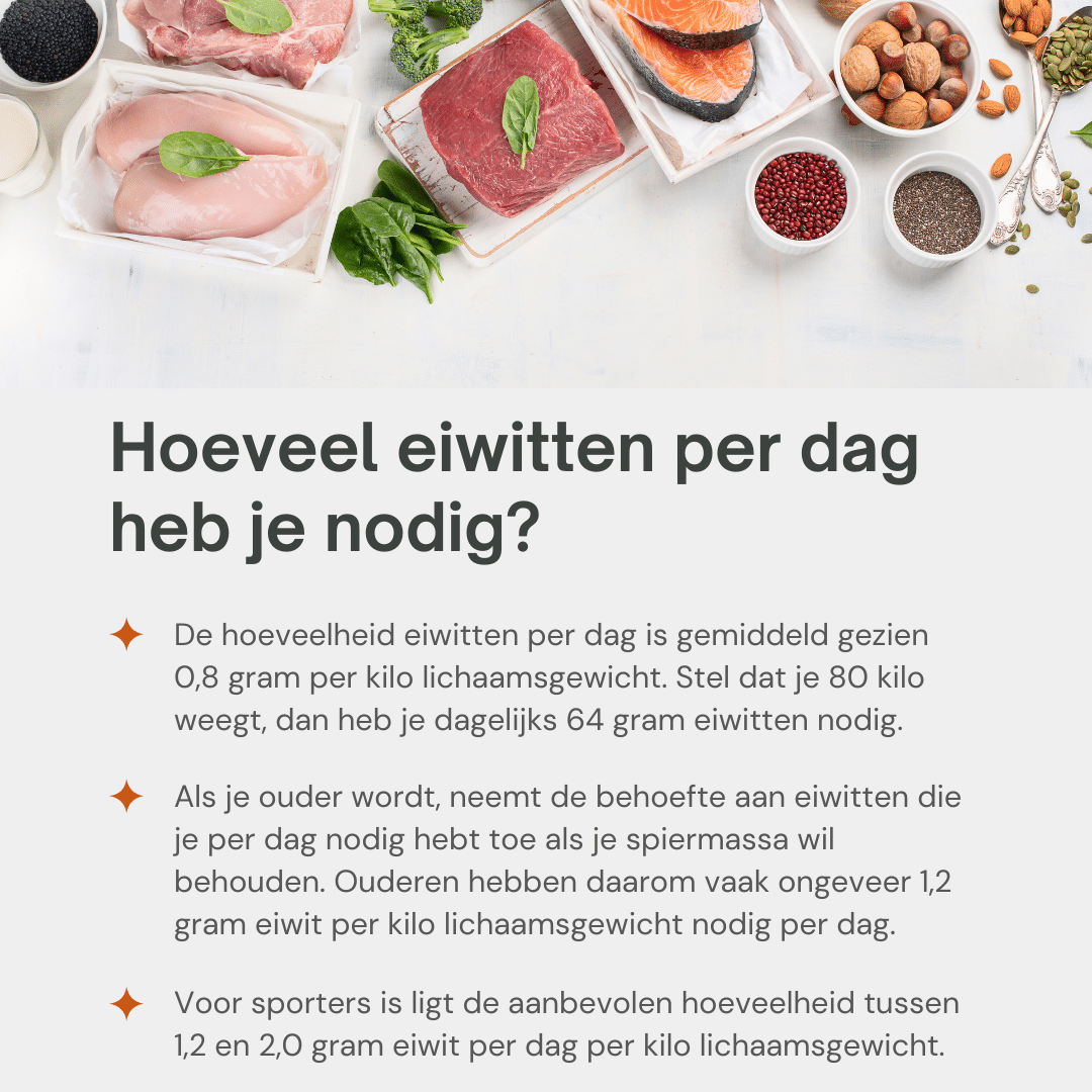 hoeveel proteine per dag